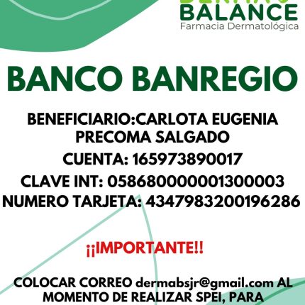 Pago con transferencia electrónica