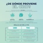 CB-D Perro mini y Gato 30ml - Image 3