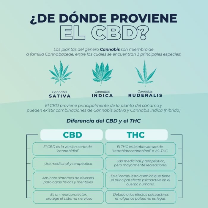 CB-D Perro mini y Gato 30ml - Image 3