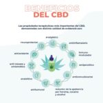 CB-D Perro mini y Gato 30ml - Image 5