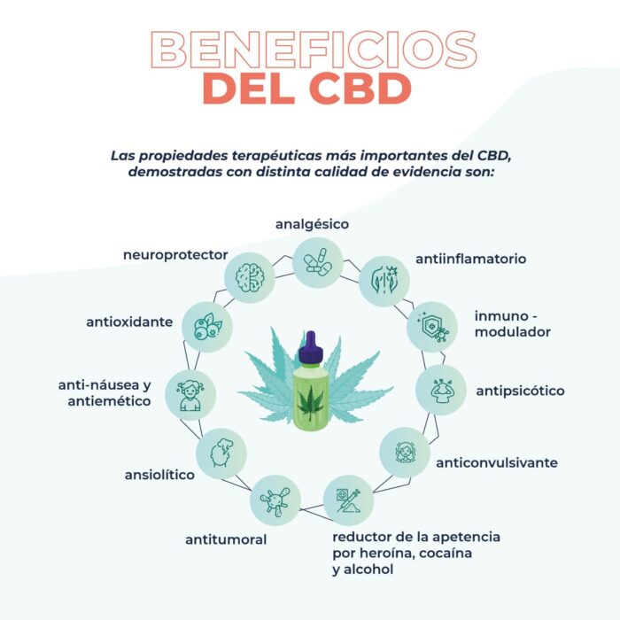 CB-D Perro mini y Gato 30ml - Image 5