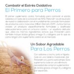 Petandim Dogs 30tabs LifeVantage - Image 5